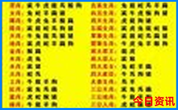 80岁老人可以在迪士尼玩什么